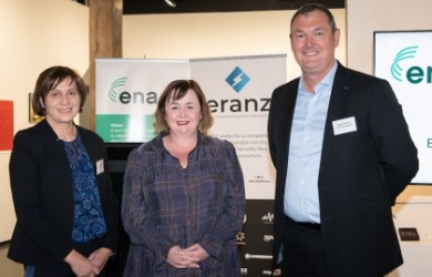 Minister Woods + ERANZ and ENA chairs website