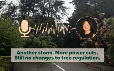 NEWS items for website   trees