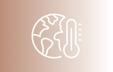 images for news item on website (13)